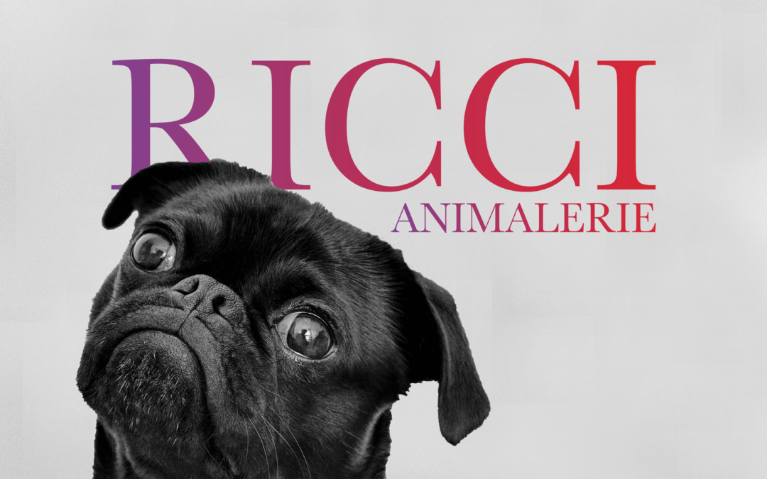 Ricci Animalerie